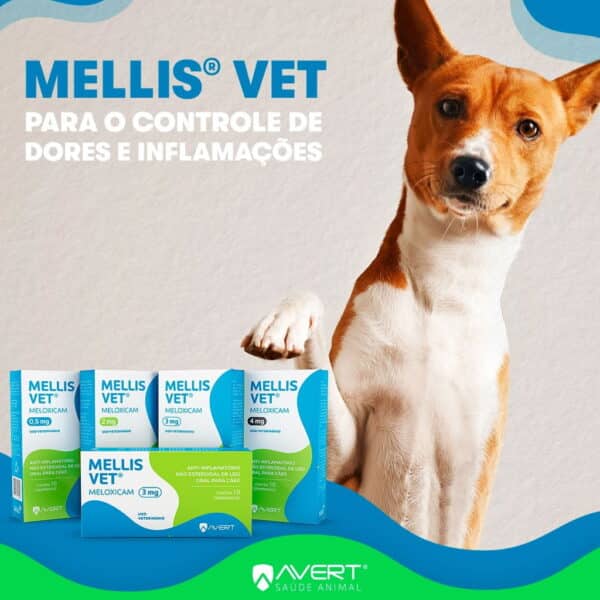 PetStore.com.br Sua Pet Online | Anti-inflamatório Mellis VET Cães 2mg Avert - 10 Comprimidos