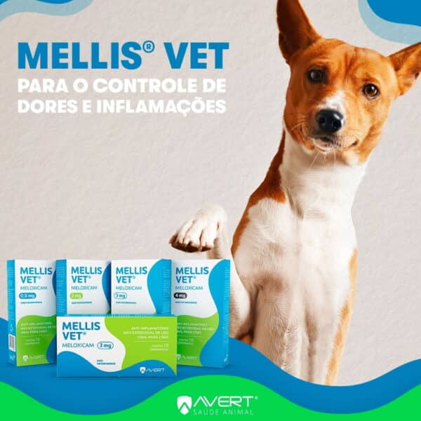 PetStore.com.br Sua Pet Online | Anti-inflamatório Mellis VET Cães 4mg Avert - 10 Comprimidos