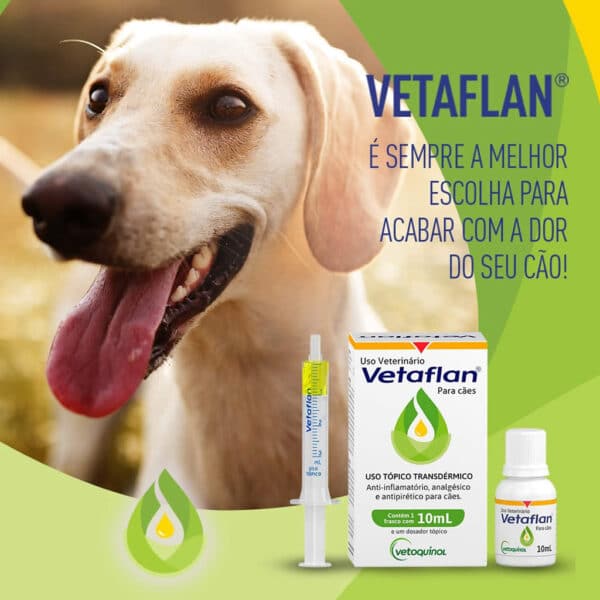 PetStore.com.br Sua Pet Online | Anti-inflamatório, analgésico e antipirético Vetaflan para Cães Vetoquinol - 10ml