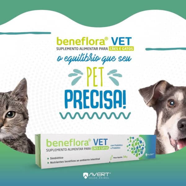 PetStore.com.br Sua Pet Online | Suplemento Alimentar Avert Beneflora VET para Cães e Gatos - 14g
