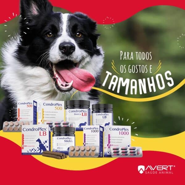 PetStore.com.br Sua Pet Online | Suplemento Alimentar Condroplex 1000 Avert - 60 Cápsulas