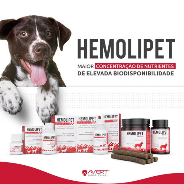 PetStore.com.br Sua Pet Online | Suplemento Vitamínico Hemolipet Avert - 30ml