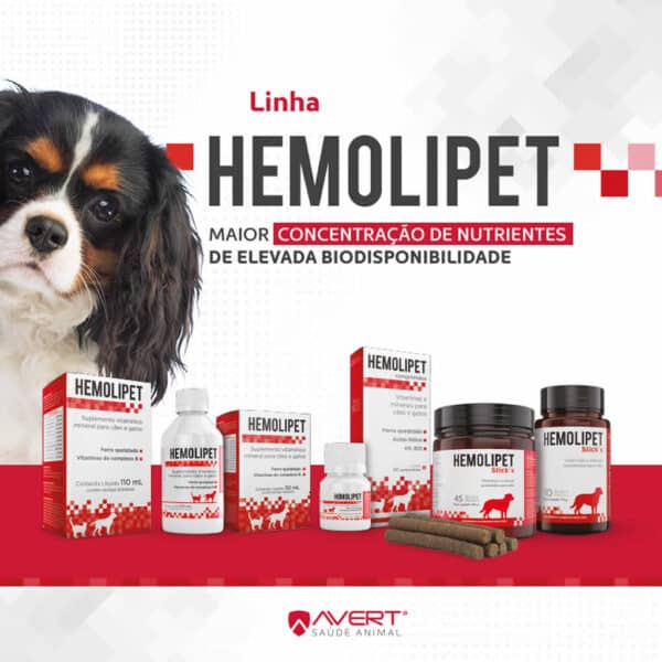 PetStore.com.br Sua Pet Online | Suplemento Vitamínico Hemolipet Avert - 110ml