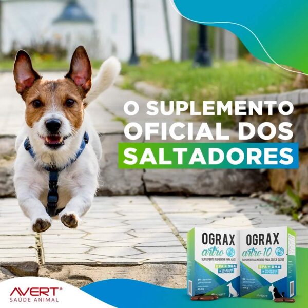 PetStore.com.br Sua Pet Online | Suplemento Alimentar Ograx Artro 10 Avert para Cães e Gatos - 30 Cápsulas