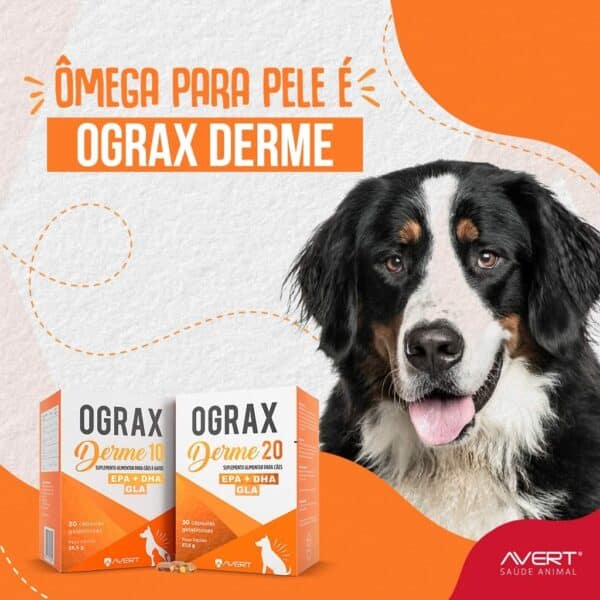 PetStore.com.br Sua Pet Online | Suplemento Alimentar Ograx Derme 10 Avert para Cães e Gatos - 30 Cápsulas