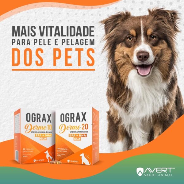 PetStore.com.br Sua Pet Online | Suplemento Alimentar Ograx Derme 20 Avert para Cães - 30 Cápsulas