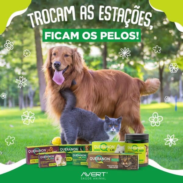 PetStore.com.br Sua Pet Online | Suplemento Alimentar Queranon LB Avert para Cães até 30Kg - 30 Comprimidos