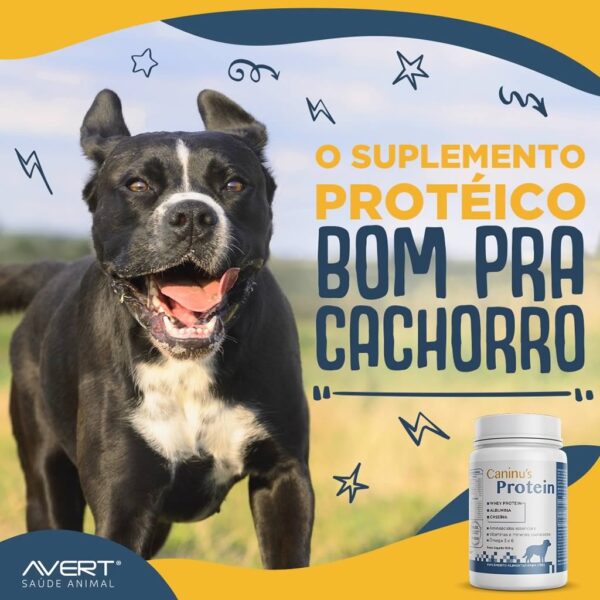 PetStore.com.br Sua Pet Online | Suplemento Caninus Protein Avert - 100g