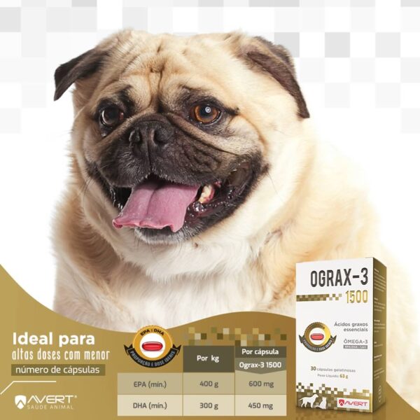 PetStore.com.br Sua Pet Online | Suplemento Ograx-3 1500 para Cães Avert - 30 Cápsulas