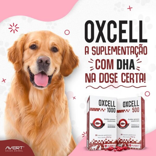 PetStore.com.br Sua Pet Online | Suplemento Oxcell 1000 Avert - 30 Cápsulas