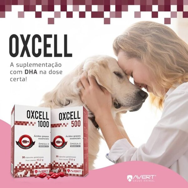 PetStore.com.br Sua Pet Online | Suplemento Oxcell 500 Avert - 30 Cápsulas