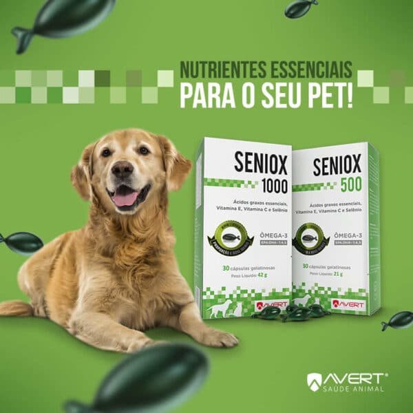 PetStore.com.br Sua Pet Online | Suplemento Seniox 1000 Avert para Cães e Gatos - 30 Cápsulas