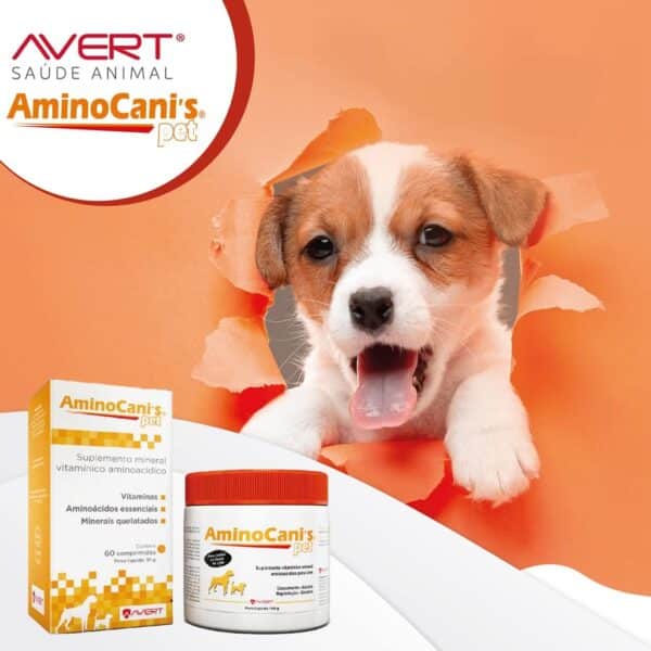PetStore.com.br Sua Pet Online | Suplemento Vitamínico Avert AminoCanis Pet - 100g