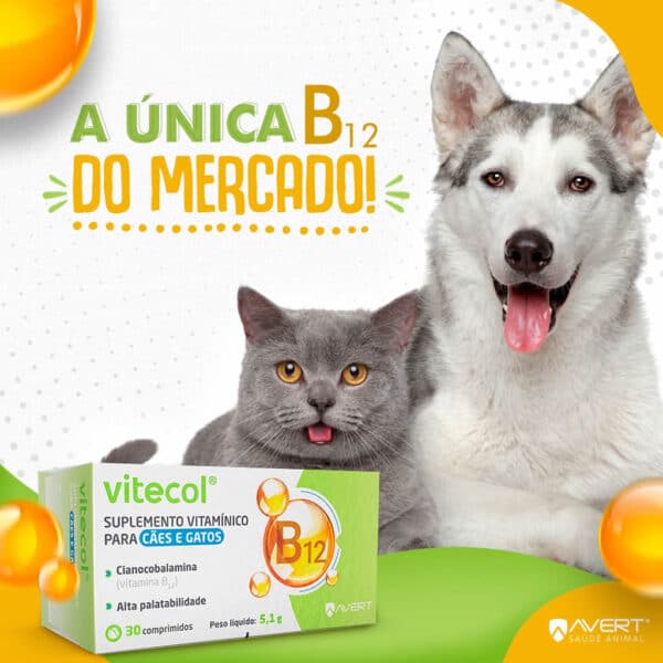PetStore.com.br Sua Pet Online | Suplemento Vitamínico Avert Vitecol para Cães e Gatos - 30 Comprimidos
