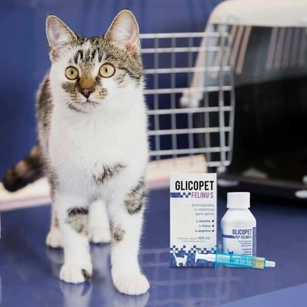 PetStore.com.br Sua Pet Online | Suplemento Vitamínico Glicopet Felinus Avert - 100ml
