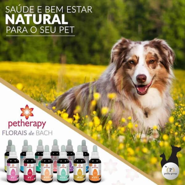 PetStore.com.br Sua Pet Online | Floral de Bach Hiperatividade Petherapy - 30ml