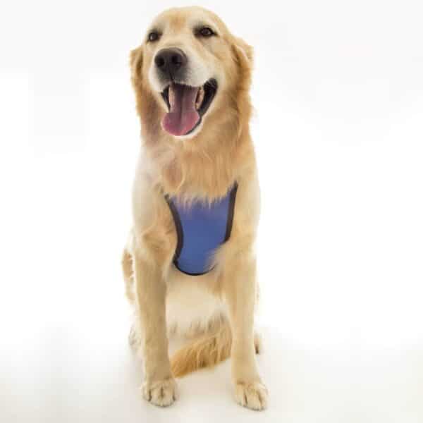 PetStore.com.br Sua Pet Online | Coleira Peitoral Tubline Pet Walk Azul Tamanho Grande