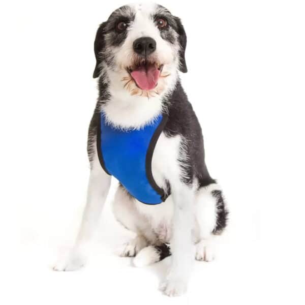 PetStore.com.br Sua Pet Online | Coleira Peitoral Tubline Pet Walk Azul Tamanho Médio