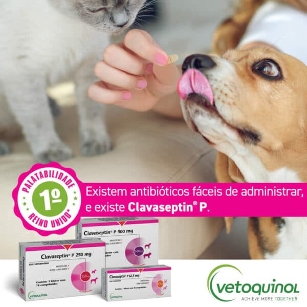 PetStore.com.br Sua Pet Online | Antibiótico Clavaseptin P 62,5mg para Cães e Gatos Vetoquinol - 10 comprimidos