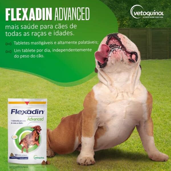 PetStore.com.br Sua Pet Online | Suplemento Vitamínico Flexadin Advanced Vetoquinol para Cães - 90g