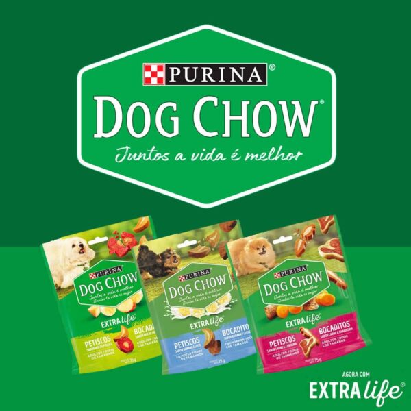 PetStore.com.br Sua Pet Online | Petisco Dog Chow Cães Adultos Carne e Cenoura Todos os Tamanhos Nestlé Purina 75g