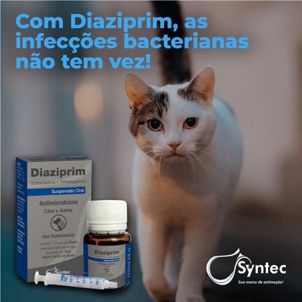 PetStore.com.br Sua Pet Online | Antibiótico Diaziprim Syntec para Cães e Gatos - 20ml