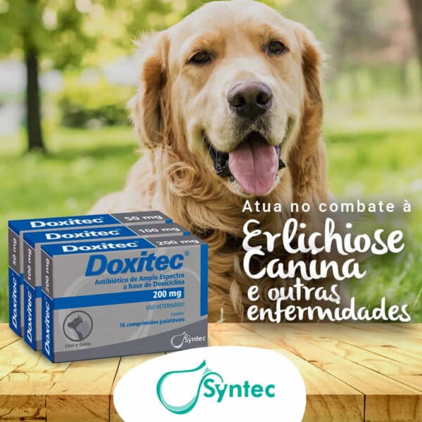 PetStore.com.br Sua Pet Online | Antibiótico Doxitec 100mg Syntec - Comprimidos