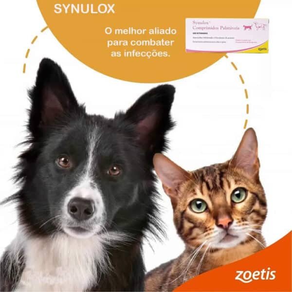 PetStore.com.br Sua Pet Online | Antibiótico Synulox 250mg Palatável Zoetis 10 comprimidos