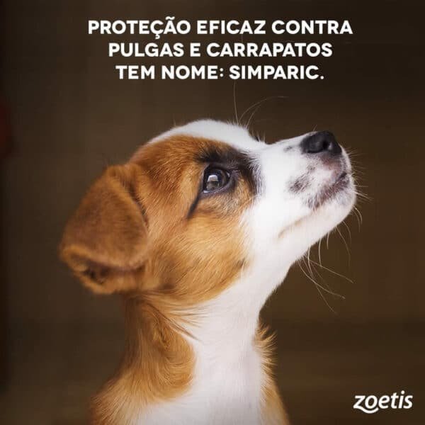 PetStore.com.br Sua Pet Online | Antipulgas Simparic 5mg Zoetis para Cães de 1,3 a 2,5kg 3 comprimidos