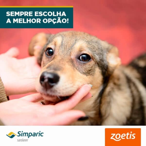 PetStore.com.br Sua Pet Online | Antipulgas Simparic 10mg Zoetis para Cães de 2,6 a 5kg 3 comprimidos