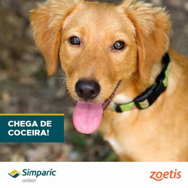 PetStore.com.br Sua Pet Online | Antipulgas Simparic 120mg Zoetis para Cães de 40,1 a 60kg 1 comprimido