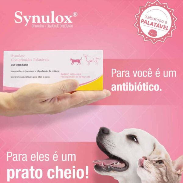 PetStore.com.br Sua Pet Online | Antibiótico Synulox 50mg Palatável Zoetis 10 comprimidos