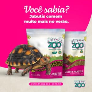 Jabutis MegaZoo