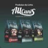 Allcanis